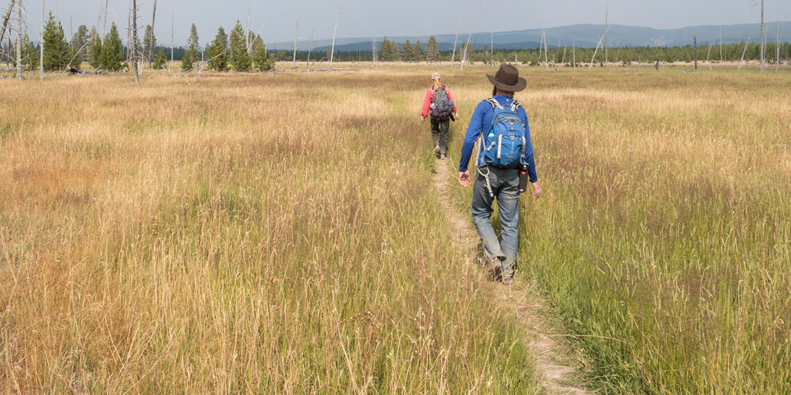 Hikers travel on Sentinel Meadows Trail in Yellowstone National Park (Jim Peaco/NPS, Public domain, via Wikimedia Commons)