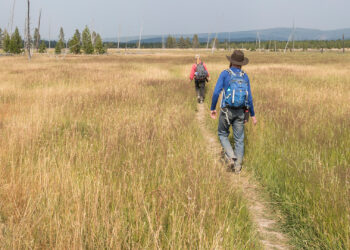 Hikers travel on Sentinel Meadows Trail in Yellowstone National Park (Jim Peaco/NPS, Public domain, via Wikimedia Commons)