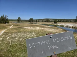 Sentinel Meadows on the edge of Yellowstone National Park's geyser basin. (Photo by Anne Vilen/The Daily Yonder)