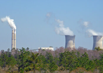 Orlando Utilities Commission's Stanton Energy Center (A. Trumbly, CC BY-NC-ND 2.0, via flickr)