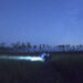 Stars shine above a grassy field in Big Cypress National Preserve on Nov. 30, 2024. (Photo by Sarah Henry)