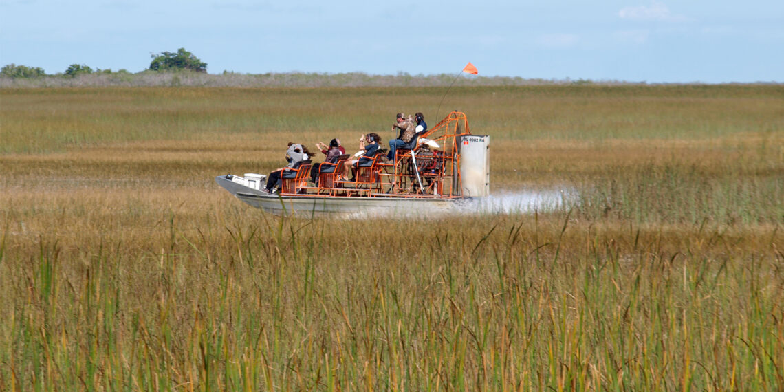 Tourists take a guided tour of the Everglades in an airboat (iStock image)