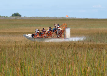 Tourists take a guided tour of the Everglades in an airboat (iStock image)