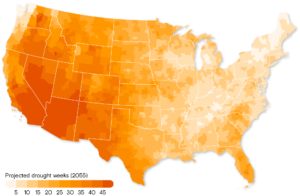 Projected severe drought in 2055: Average weeks per year in severe drought conditions (Clayton Aldern/Grist, Source: First Street Foundation)