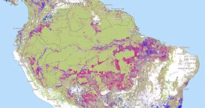 The Amazon forest has been losing tree cover to logging, farming, ranching, wildfires and a changing climate. Pink shows areas with greater than 75% tree canopy loss from 2001 to 2024. Blue is tree cover gain from 2000 to 2020. (Global Forest Watch, CC BY)