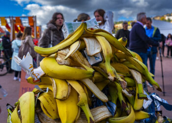 Wasted food like these banana peels mounded up in Lyon, France, is a major source of methane, one of the most potent greenhouse gasses. (Robert Deyrail/Gamma-Rapho via Getty Images via Sentient)
