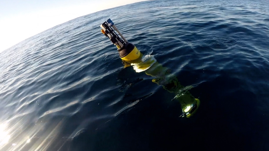 Robotic floats can continuously collect data about ocean conditions. Analyzing these data alongside records from ship-based plankton surveys has revealed how marine heatwaves affect the ocean’s ability to store carbon. (Image: MBARI 2022)