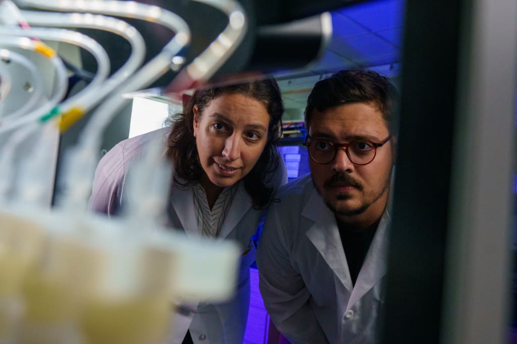 Natalia Soares Quinete heads FIU’s Emerging Contaminants of Concern lab and studies the prevalence of PFAS in South Florida with the help of her research group, including postdoctoral scientist Sidney Sales. (Credit: Chris Necuze/Florida International University)
