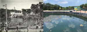The first image is a 1925 photograph showing Sulphur Springs, at the time a vibrant recreation attraction in the heart of Tampa. Sadly, Sulphur Springs is a cautionary tale. Area sinkholes began feeding contaminated urban runoff to the spring in the mid-20th century, leading Tampa authorities to close the spring to swimming in 1986. The second photo was taken in May 2025. (First image: State Archives of Florida/Burgert Brothers, CC BY; Second image: Christopher Meindl, CC BY)