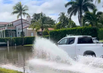 A truck drives through king tide flooding in West Palm Beach (Credit: Katie Carpenter)