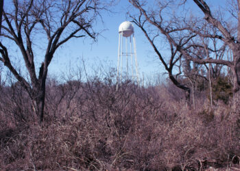A water tower over dry forest in Texas (iStock image)