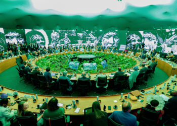 A roundtable discussion among national leaders on "Climate and Nature: Forests and Oceans" at the COP30 U.N. climate conference in Belém, Brazil. (Lula Oficial, CC BY-SA 4.0, via Wikimedia Commons)