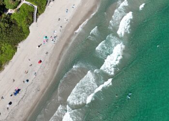 Red Reef Park in Boca Raton (Photo courtesy of Discover The Palm Beaches)