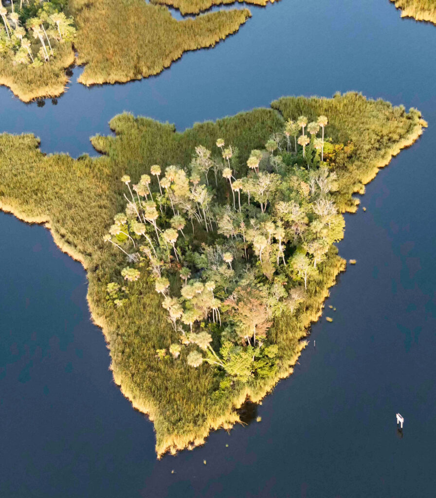 An aerial view of a Crystal River barrier island (Photo courtesy of Save Crystal River)