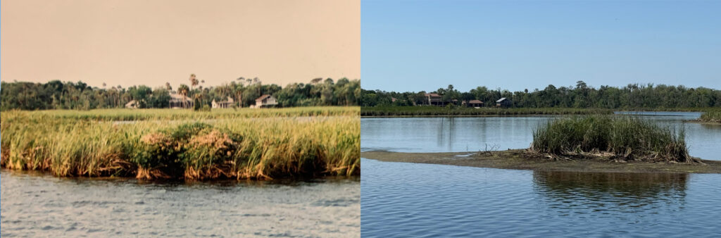 2006 and 2025 will show you the difference in the deterioration of the islands and the disappearing marsh over the past 19 years