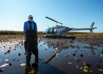 FAU researchers conduct surveys and fieldwork in the Florida Everglades. (Photo by Alex Dolce)
