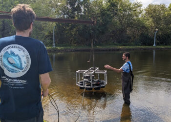 Jordon Beckler, Ph.D., and Mason Thackston (in the water) test their new device, the Chamber ARray for Observing Sediment Exchanges Long-term or CAROSEL for short. (FAU)