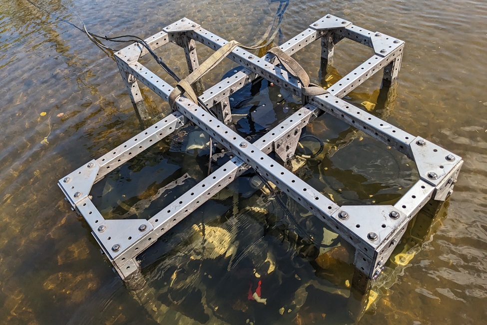 A closer look at the CAROSEL (FAU)