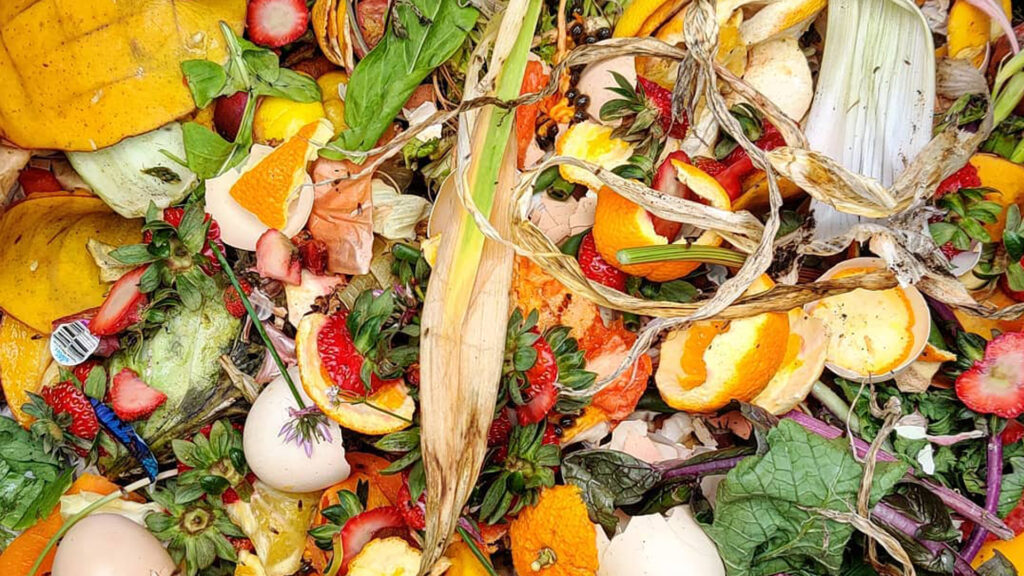 A close-up view of fresh compost before decomposition (Niwrat, CC BY-SA 4.0, via Wikimedia Commons)