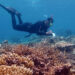 A diver collects data on a coral reef in Indonesia. (Fakhrizal Setiawan, CC BY-SA 4.0, via Wikimedia Commons)