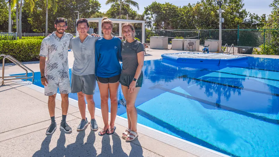 Tackling coral health from a new angle – | The Invading Sea