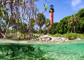 A view of the Jupiter Inlet Lighthouse from the surrounding water (Bureau of Land Management, CC BY 2.0, via Wikimedia Commons)