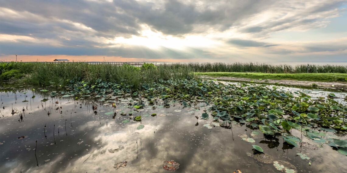 Lake Apopka in Central Florida (iStock image)