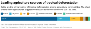 Leading agriculture sources of tropical deforestation (Chart: The Conversation, CC-BY-ND; Source: WRI Global Forest Review)