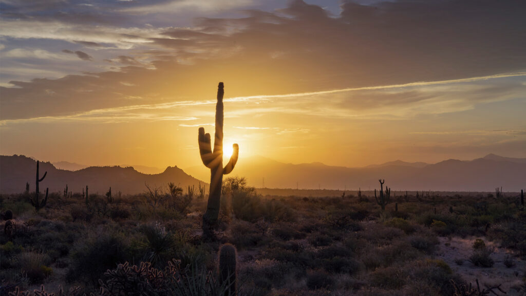 Phoenix experienced 113 consecutive days of 100 degrees or higher in 2024. (Ray Redstone, CC BY-SA 4.0, via Wikimedia Commons)