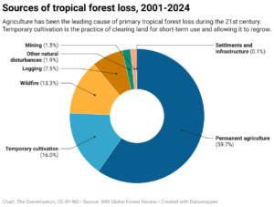 Sources of tropical forest loss, 2001-2024 (Chart: The Conversation, CC-BY-ND; Source: WRI Global Forest Review)