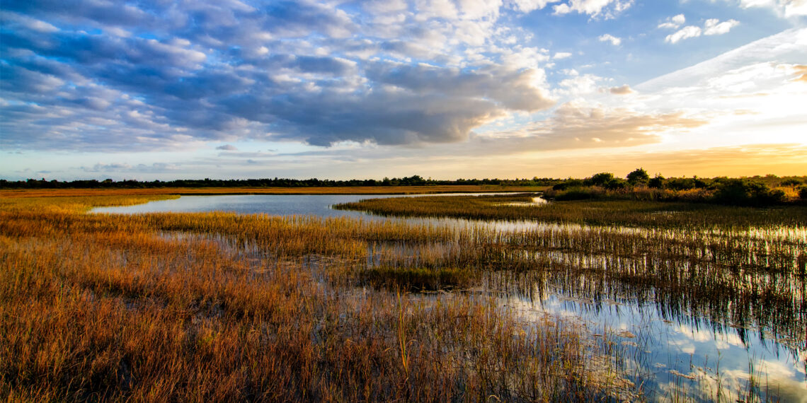 The sun sets over the Florida Everglades (iStock image)