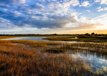 The sun sets over the Florida Everglades (iStock image)