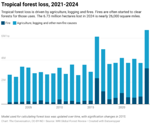 Tropical forest loss, 2021-2024 (Chart: The Conversation, CC-BY-ND; Source: WRI Global Forest Review)