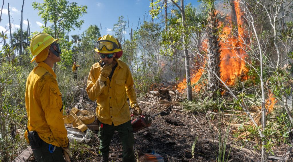 Director of Natural Resources Eric Foht maintains constant contact with the crew. (John Eder/Naples Botanical Garden)