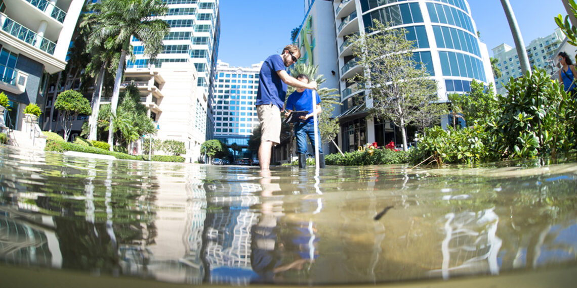 Water levels are measured on a flooded street. (FAU photo)