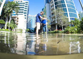 Water levels are measured on a flooded street. (FAU photo)