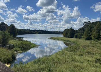 Lake Henrietta, 100-acre lake, is home to an abundance of birds and wildlife in September 2025. (Photo credit: Anna Bullock)