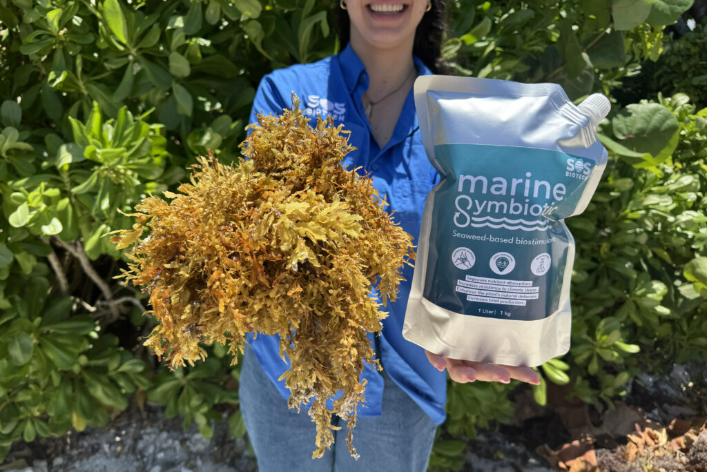 SOS Biotech has used sargassum to produce products such as its Marine Symbiotic biostimulant. (Photo courtesy of SOS Biotech)