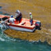 SOS Biotech uses local boats and workers to collect sargassum at sea. (Photo courtesy of SOS Biotech)