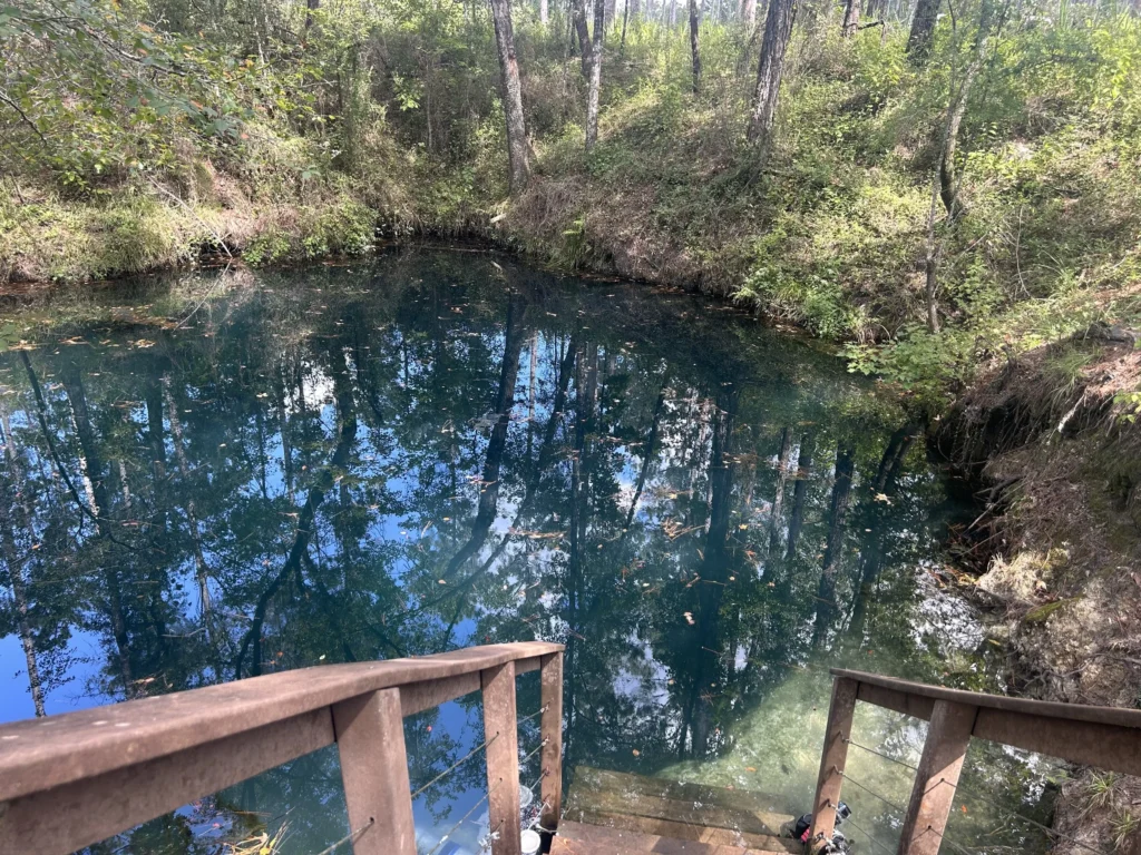 Water directly travels between the Ames Sink and Wakulla Springs. (Photo credit: Anna Bullock)