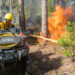 Flames in the pine flatwoods ignited by a flamethrower. (John Eder/Naples Botanical Garden)
