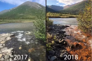 Rust-colored water in a tributary of the Akillik River in Kobuk Valley National Park reflects permafrost thaw releasing metals into the water. (National Park Service/Jon O’Donnell)