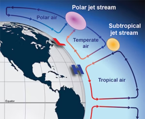 A cross section of atmospheric circulations shows where the jet streams exist between large cells of rising and falling air, movements largely driven by solar heating in the tropics. (NOAA)