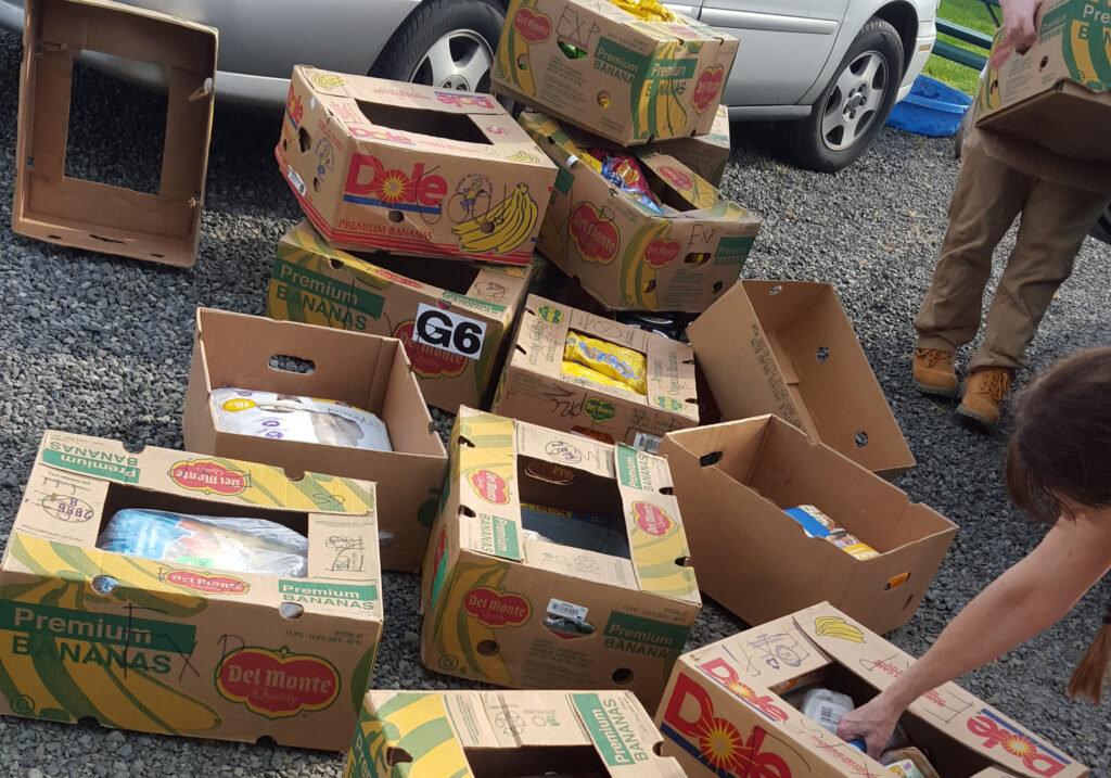 Food rescued from being thrown away at a grocery store (Colenyj, CC BY-SA 4.0, via Wikimedia Commons)