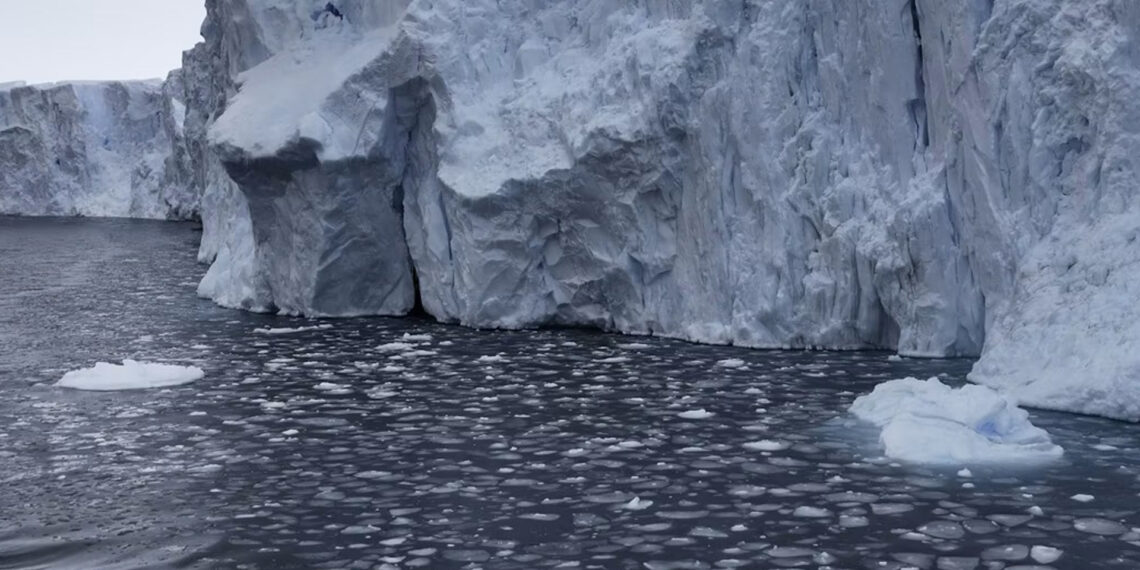 Another image of a glacier (Pete Harmsen, CC BY-ND)