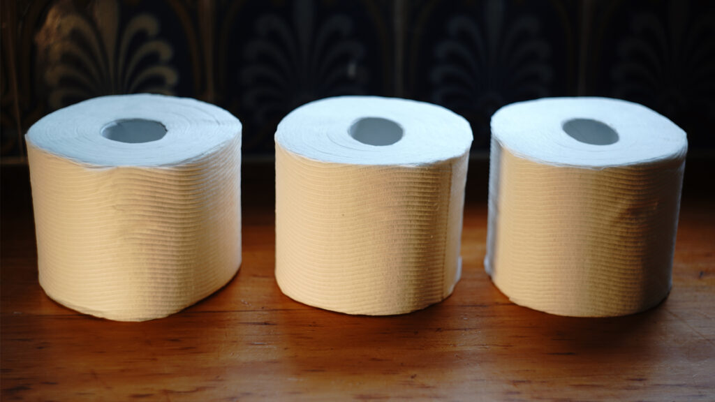 A whopping 68% of U.S. consumers surveyed want eco-friendly toilet paper made from recycled pulp, bamboo or cornstalks. (interestedbystandr, CC BY 2.0, via Wikimedia Commons)