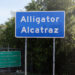 A sign at the entrance to Alligator Alcatraz (iStock image)