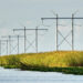 Power lines running along a canal in Everglades National Park near Fort Lauderdale (iStock image)