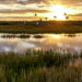 Birds flying over wetlands at sunset in Florida (iStock image)