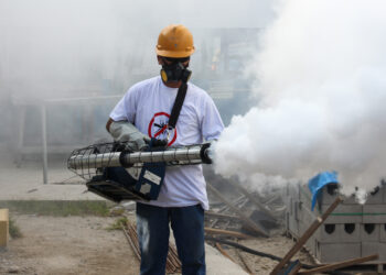 In many tropical countries such as Brazil, locals fumigate areas with insecticides to kill off mosquitoes during outbreaks of mosquito-borne diseases like Zika. (iStock image)